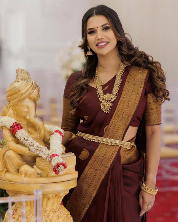 Maroon Banarasi Saree With Royal Copper Zari Border For Pure Wedding Look